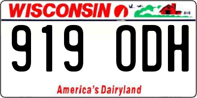 WI license plate 919ODH