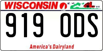 WI license plate 919ODS