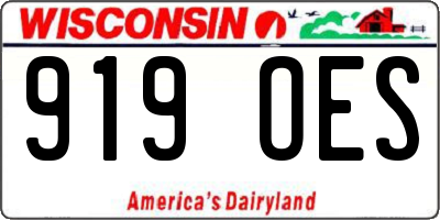 WI license plate 919OES