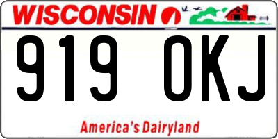WI license plate 919OKJ
