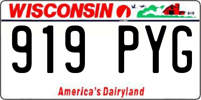WI license plate 919PYG