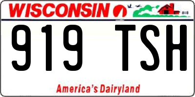 WI license plate 919TSH