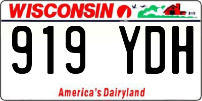 WI license plate 919YDH
