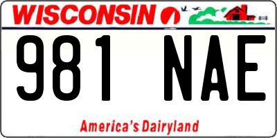 WI license plate 981NAE