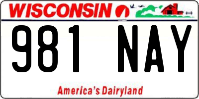 WI license plate 981NAY