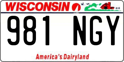 WI license plate 981NGY