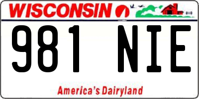 WI license plate 981NIE