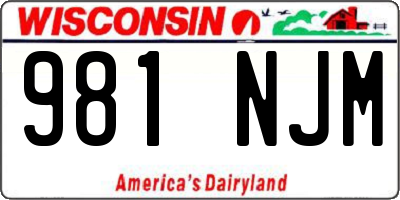 WI license plate 981NJM