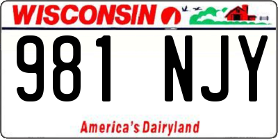 WI license plate 981NJY