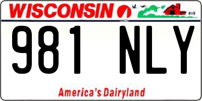 WI license plate 981NLY