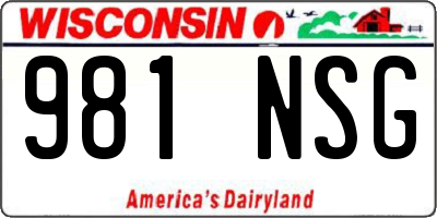 WI license plate 981NSG
