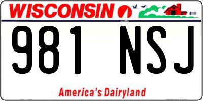 WI license plate 981NSJ