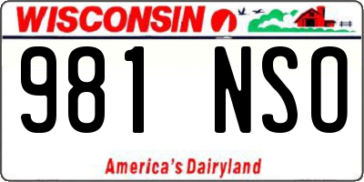 WI license plate 981NSO