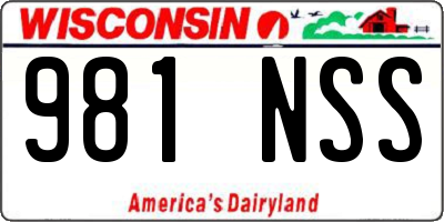 WI license plate 981NSS