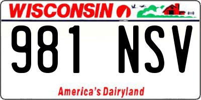 WI license plate 981NSV