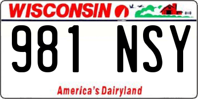 WI license plate 981NSY