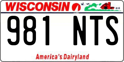 WI license plate 981NTS