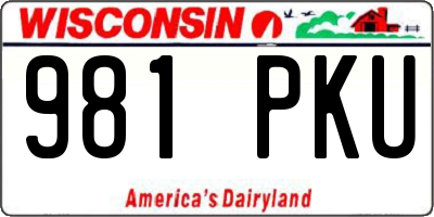 WI license plate 981PKU