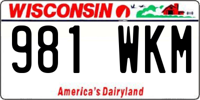 WI license plate 981WKM
