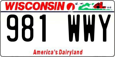 WI license plate 981WWY