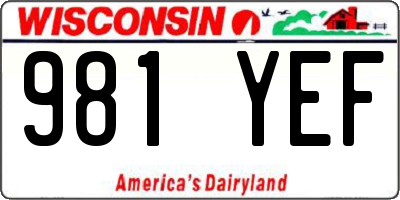 WI license plate 981YEF