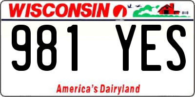 WI license plate 981YES