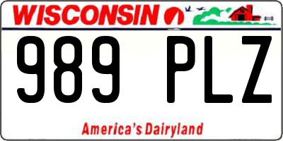 WI license plate 989PLZ