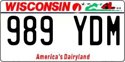 WI license plate 989YDM