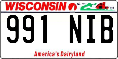 WI license plate 991NIB