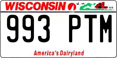 WI license plate 993PTM