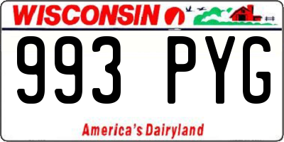 WI license plate 993PYG