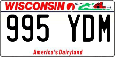WI license plate 995YDM