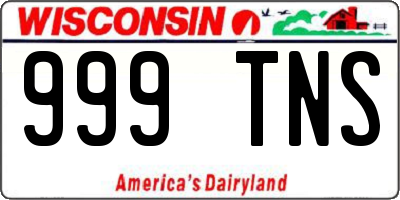 WI license plate 999TNS