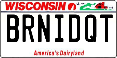 WI license plate BRNIDQT