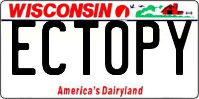 WI license plate ECT0PY