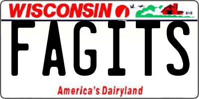 WI license plate FAGITS