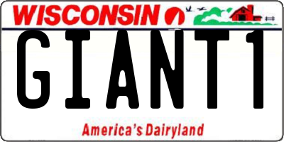 WI license plate GIANT1
