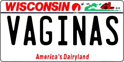 WI license plate VAGINAS