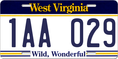 WV license plate 1AA029