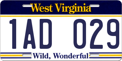 WV license plate 1AD029