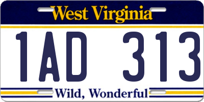 WV license plate 1AD313