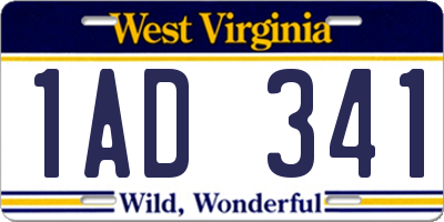 WV license plate 1AD341