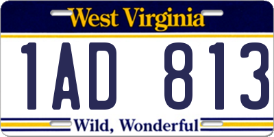 WV license plate 1AD813