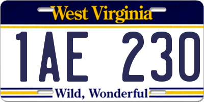 WV license plate 1AE230