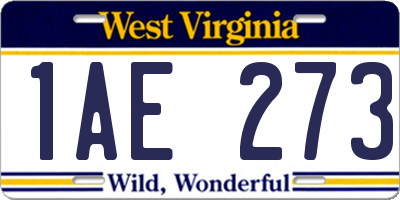 WV license plate 1AE273