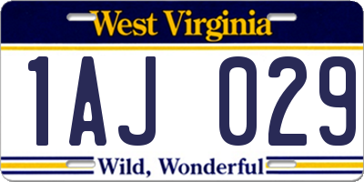 WV license plate 1AJ029