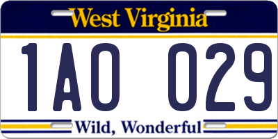 WV license plate 1AO029