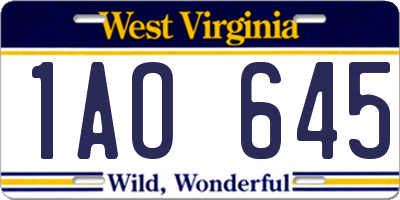 WV license plate 1AO645