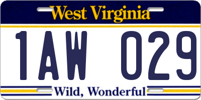 WV license plate 1AW029