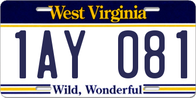 WV license plate 1AY081